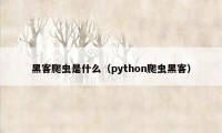 黑客爬虫是什么（python爬虫黑客）