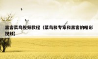 黑客菜鸟视频教程（菜鸟和专家和黑客的精彩视频）