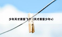 少年天才黑客飞卢（天才黑客少年v）